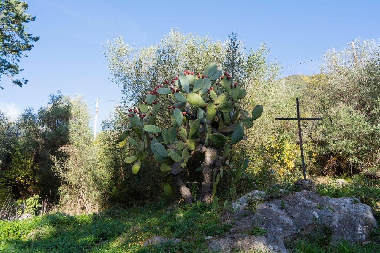 Convento Di Stignano Hotel Rignano Garganico Eksteriør billede